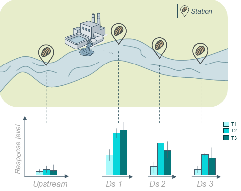 upstream-downstram-response-level