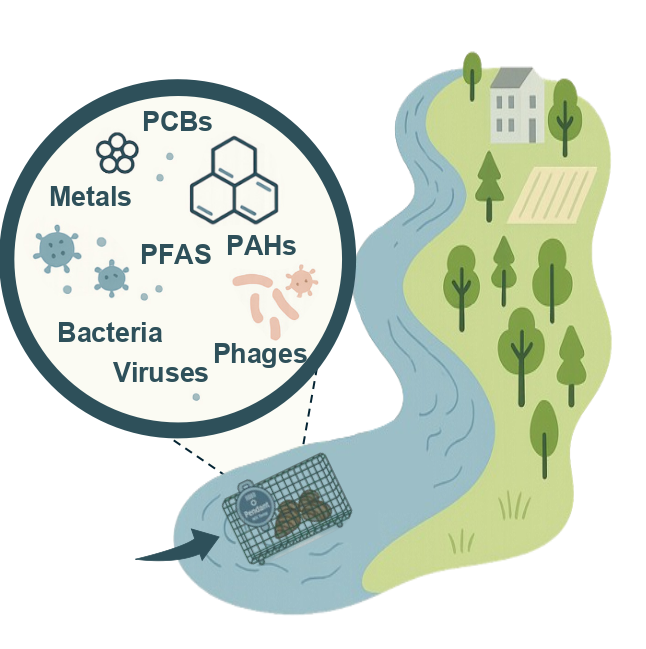 heading-technology_ELIDREO